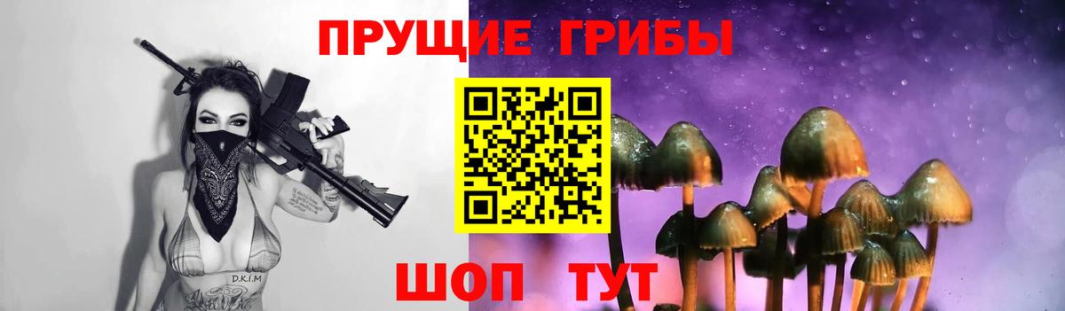 Мариинск  Галлюциногенные грибы Psilocybe  Псилоцибиновые грибы прущие грибы  Вход с VPN 